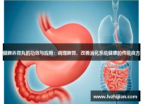 健脾养胃丸的功效与应用：调理脾胃、改善消化系统健康的传统良方